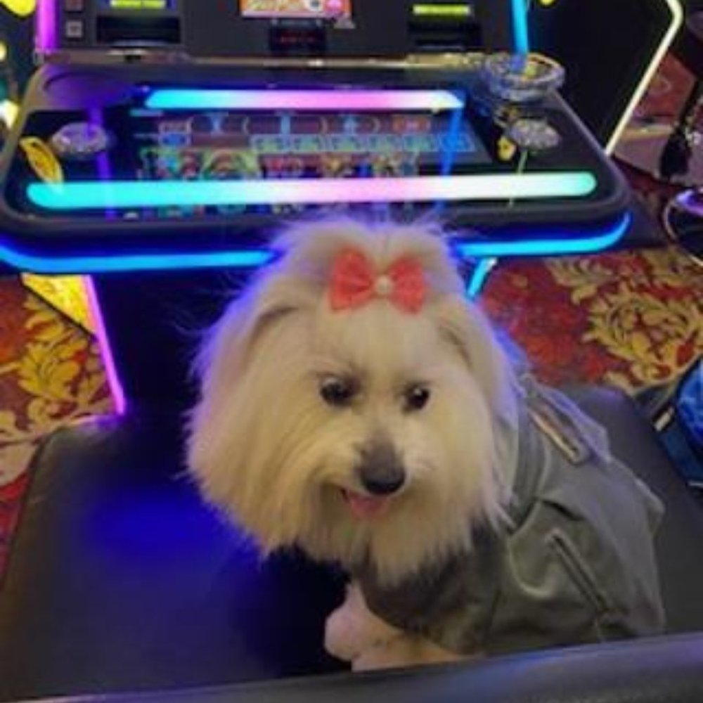 Security Said That I Was Old Enough To Play